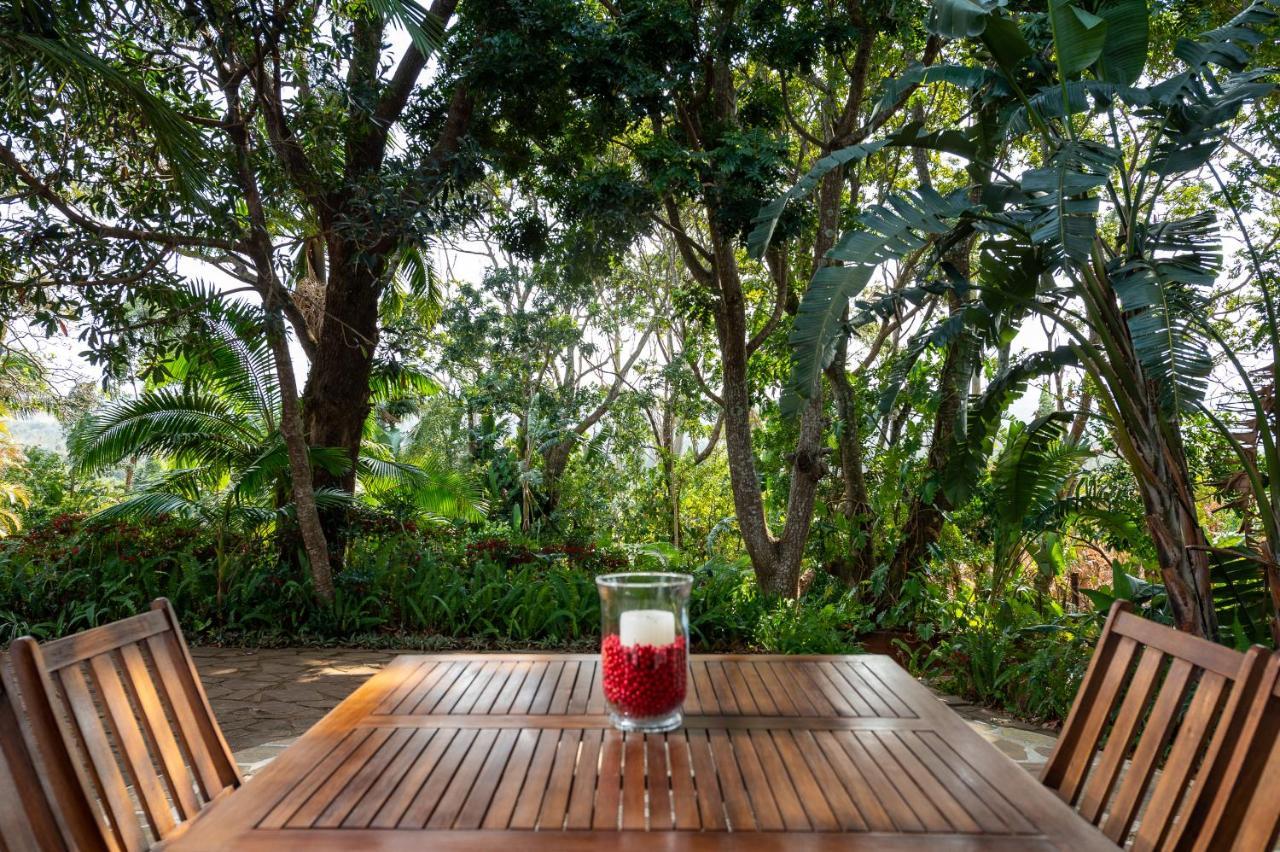 Zesty Guesthouse พอร์ตเอ็ดเวิร์ด ภายนอก รูปภาพ
